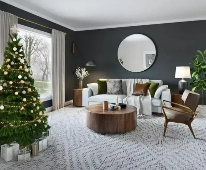 Spatiu cat sa ai Doi Brazi si ZERO Regrete - 2