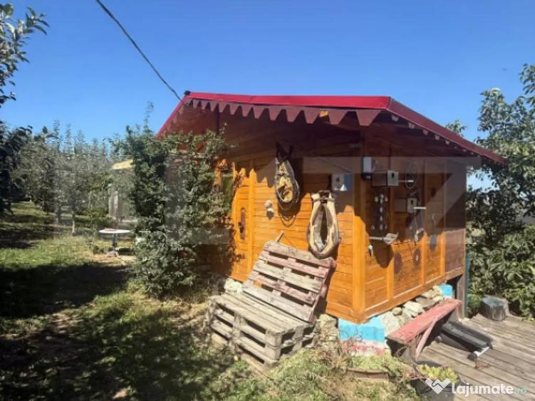 Teren intravilan, 2232 mp, Lisaura - 8