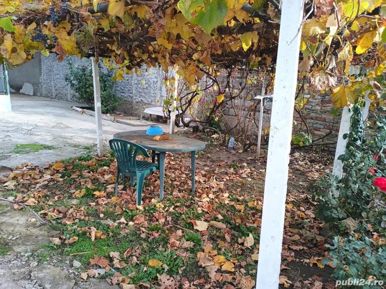 Casa Carpinis, str. VIII-a - 1