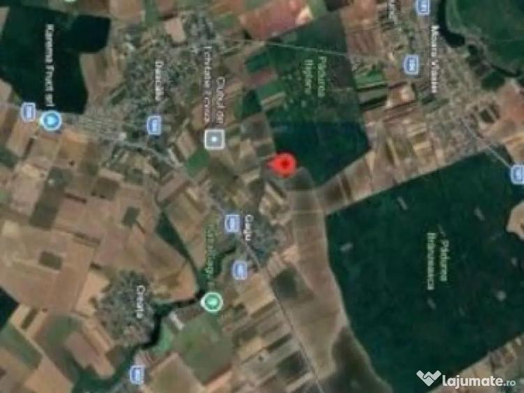 Teren de vanzare in Ilfov, Gagu, deschidere 74ml, 20762mp, 124.572euro - 2
