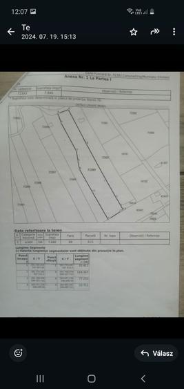 Vand Teren intravilan Chinteni - Padureni 2000 mp - 4