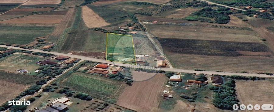 Casa traditionala cu teren generos de 3.529 mp Borsa, jud. Cluj - 1