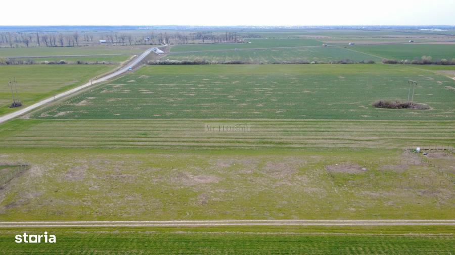 Teren ideal pentru casa sau investi?ie Chi?oda (Giroc), Poligonului - 5