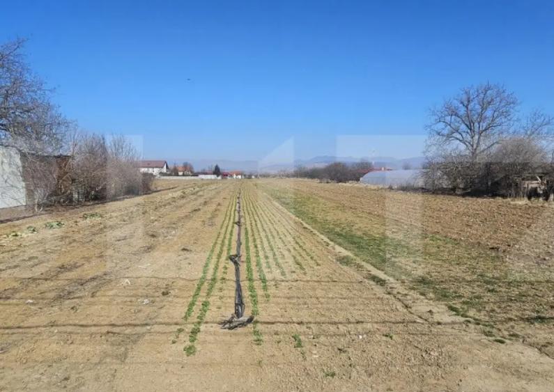 Teren intravilan de vanzare, 4550 mp, in zona Santuhalm - 1