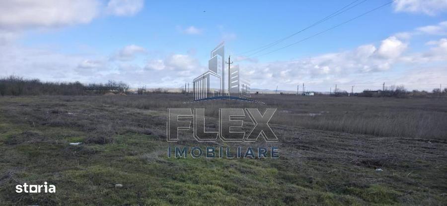 Vanzare Teren Delta Dunarii 3.83 Ha - Oportunitate - 7