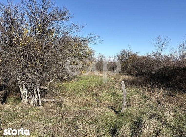 Teren ideal pentru casa liniste, natura si intimitate la doar 11 k - 5