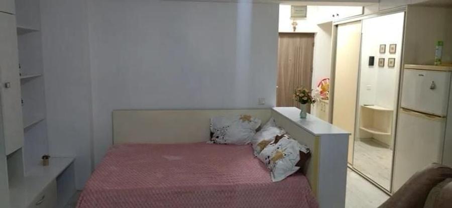 GARSONIERA BRANCOVEANU, CENTRALA PROPRIE, BLOC NOU, MOBLATA/UTILATA - 5