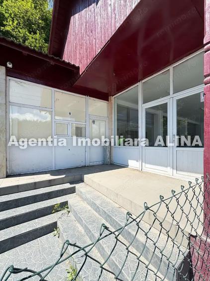 Spatiu comercial spre iesire din Loc. Deva (spre Mintia) zona Izvorul Decebal, Jud. Hunedoara. - 9