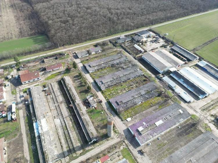 Ansamblu hale 4000mp pe teren 10.000 cu platforma betonata - 6