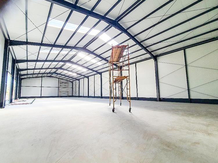 Hale,spatii industriale Albota,Pitesti Arges - 18