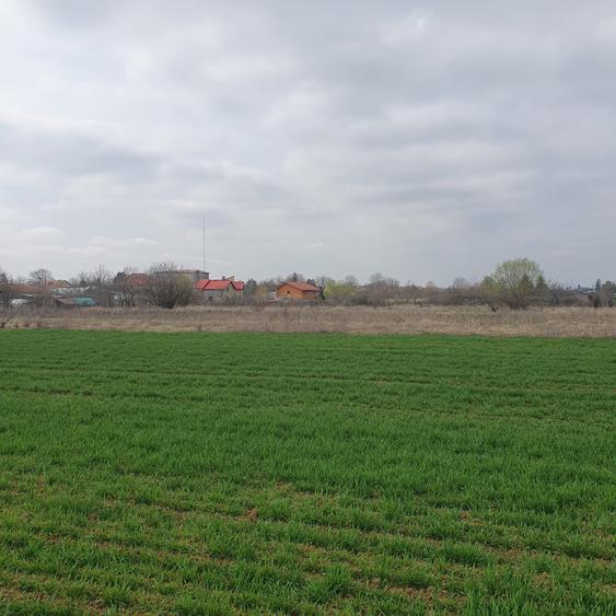 Tâncăbești -Ilfov suprafață 4500 mp - 6