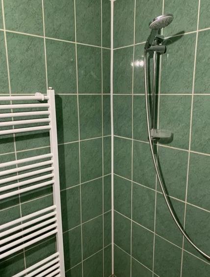 Garsoniera ideala pentru investitie, 21 mp, Zona Lidl - 5