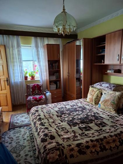 Casă de vânzare în Dunăreni, com. Aliman – Gospodărie completă, mobilată  - 16