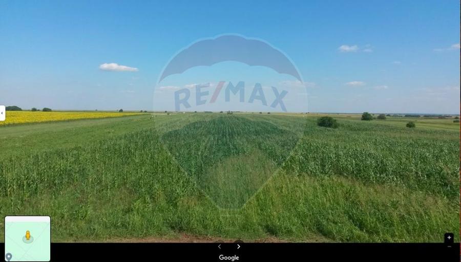 Teren 11906 mp extravilan, rezidential, industrial - in Berceni - 4