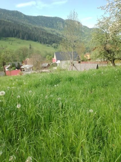 Vând teren intravilan in com. Vidra jud. Alba. - 2