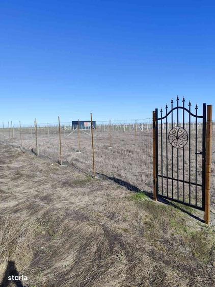 Vanzare teren Techirghiol - 3