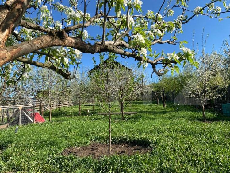 Casa de vanzare in Baciu, Mera - liniste, spatiu si natura la doar 13 km de oras - 5