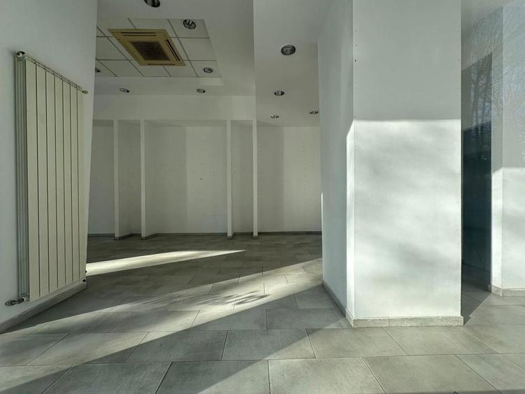 Zona Dimitrie Cantemir-Budapeste Sp153 mp P+Supanta - 5