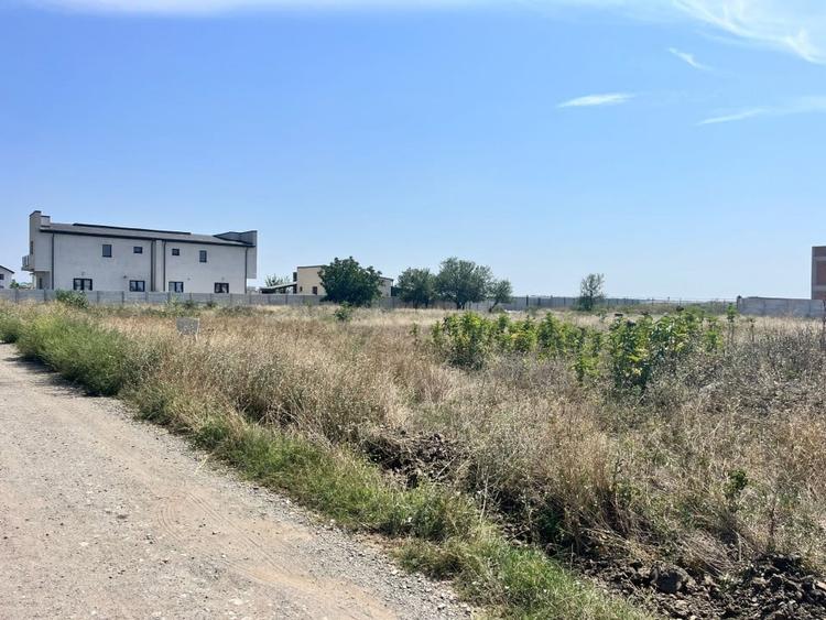 Teren Intravilan 1500 mp - Tunari - 3