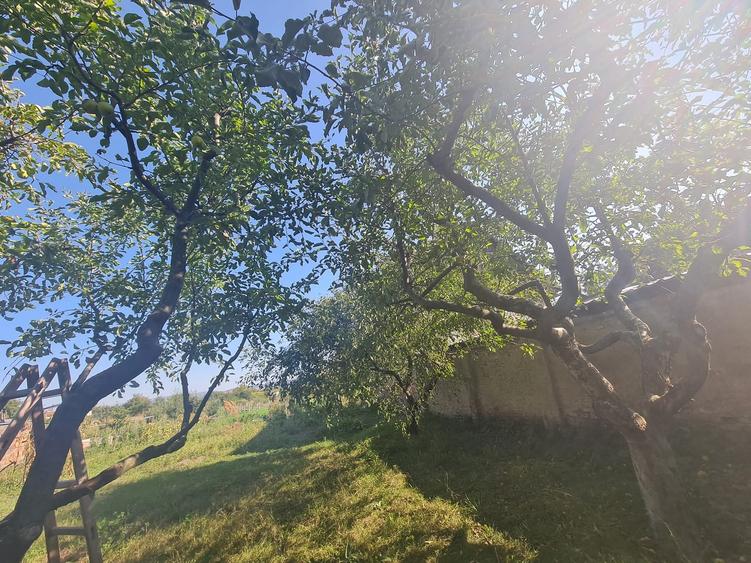 Vand casa saseasca 4 camere cu teren generos 1900mp - 19