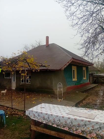 Casa de vanzare - 1