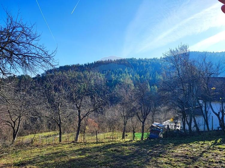 Teren intravilan de vânzare – Vale (Saliste), județul Sibiu - 5