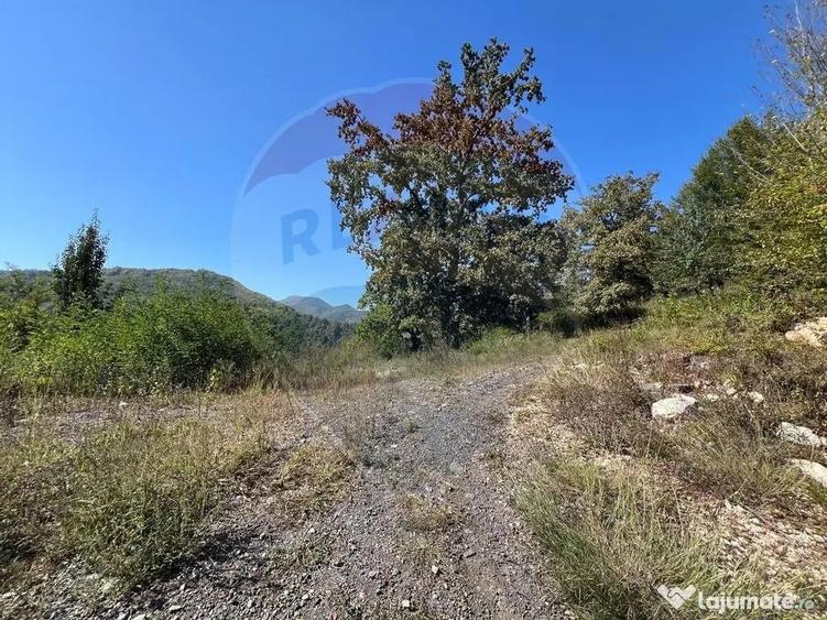 Teren intravilan Buru | ideal agrement, activita?i outdoor - 5