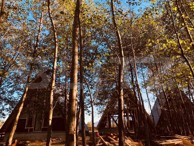 Pachet de 3 case in zona Tohanita, case tip A-frame  , 400 mp teren fiecare - 4