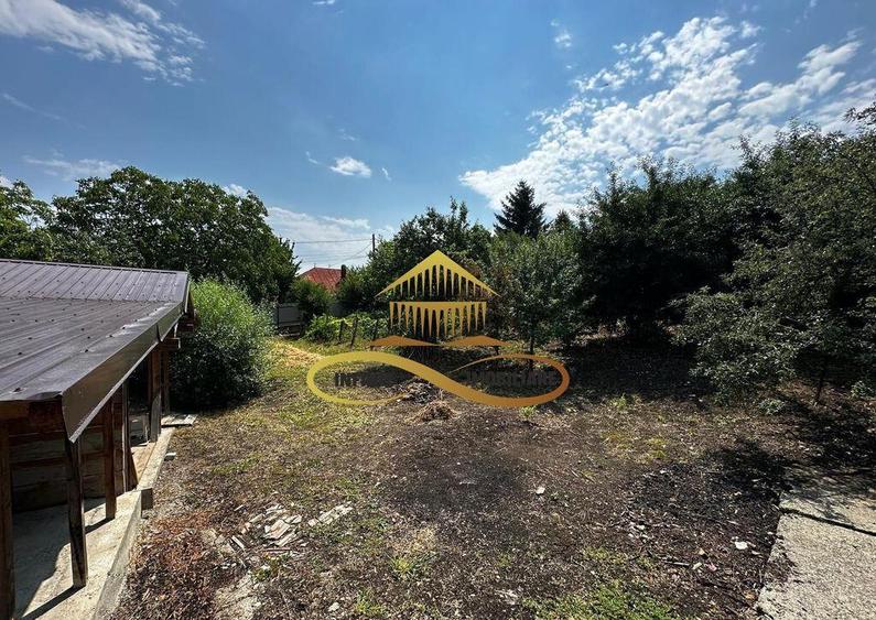 Casa batraneasca cu 1008 mp teren de vanzare in Sarata / ... - 13