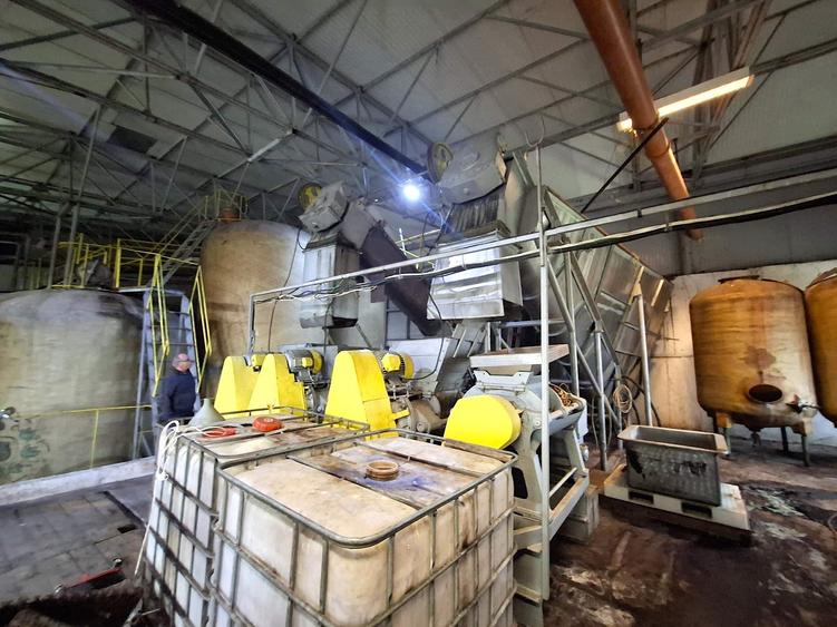 CRAMĂ FUNCȚIONALĂ DE VÂNZARE   ÎN INIMA PODGORIEI ODOBEȘTI (VRANCEA) - 7