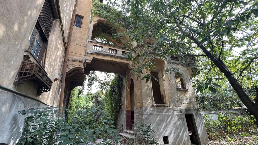 VILA INDIVIDUALA CISMIGIU | INTR. TEMISANA - 2