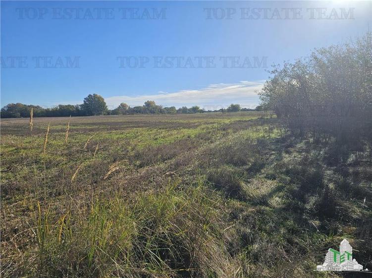 SUPER-PRET Teren 1ha intravilan intre A0, padure si raul Sabar - 3