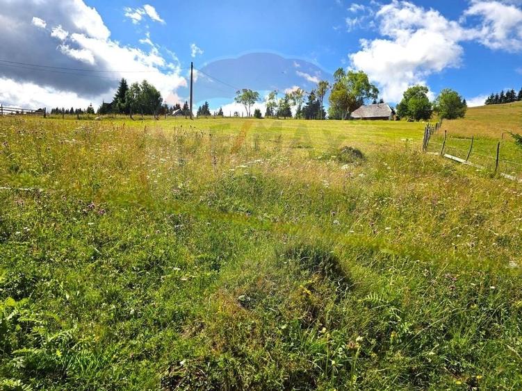 Teren de vis în Fundata 1934mp sau 3868mp, la înălțimea sufletului tău - 11