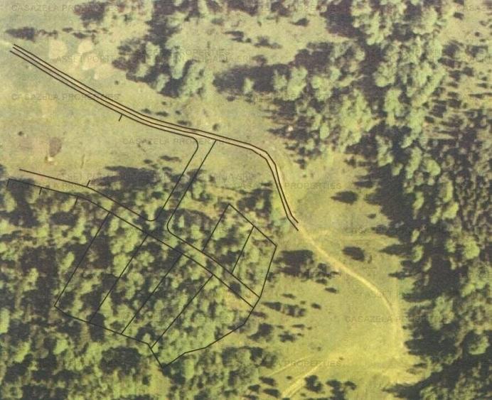 Teren in suprafata de 11 310  mp situat in Rasnov, Paraul Rece - 2