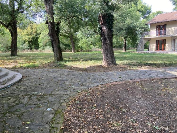 Proprietate inedita cu teren de 4400, si deschidere cu ponton pe Bega - 8