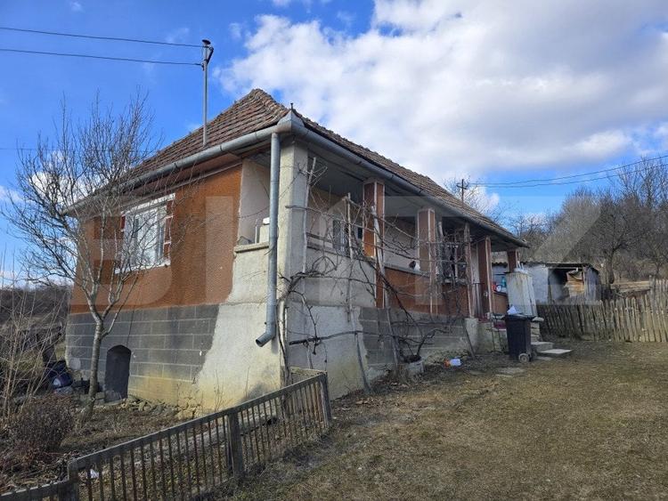 Casa cu farmec rustic, teren de 4887 mp - 3