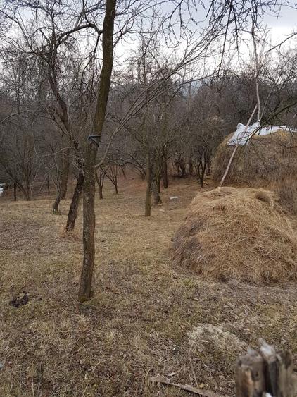 Teren 1700 mp str Glodeanu - 1