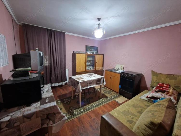 Sosdea 2 Case cu Teren 4657 Mp. - 11