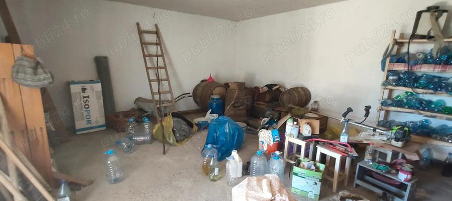 Oaza de Lini?te cu Poten?ial Masiv la Doar 20 km de Foc?ani! - 5