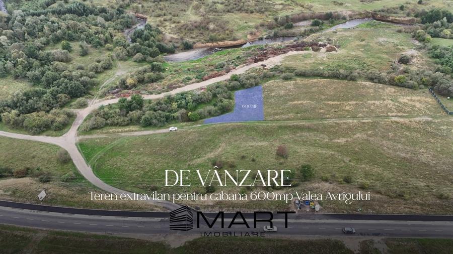 Teren 600mp pe Valea Avrigului - 1