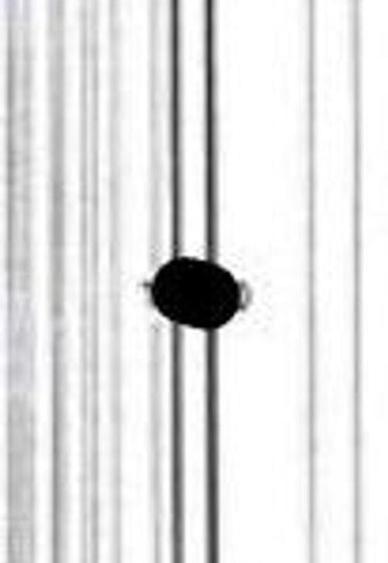 Teren extravilan cota parte 3/16, Schela, ID: R2749476 - 6