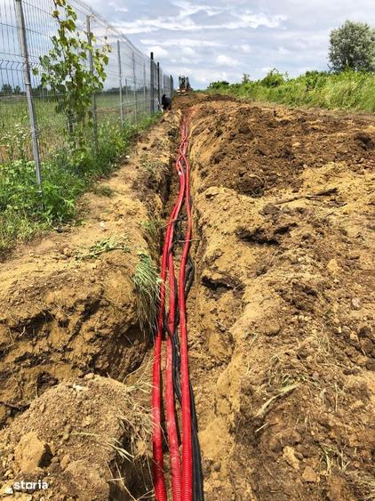 Teren intravilan Bucium 1000 mp, dealul Craitelor - 6