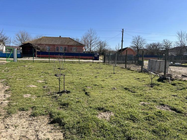 Teren intravilan 6500mp imprejmuit - 6