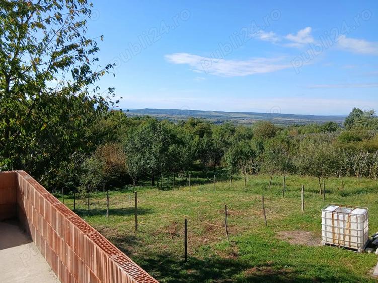 Casa la rosu in cicarlau - 5