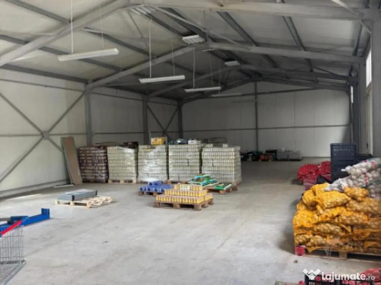 Spatiu comercial 280 mp + 700 mp curte, Filiasi - 3