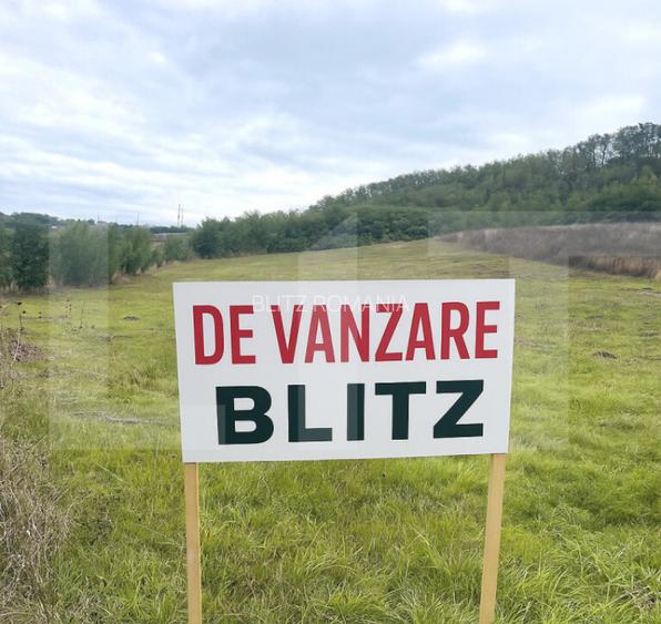 Teren extravilan de vanzare, 5.800 mp, zona Manole?ti-Boto?