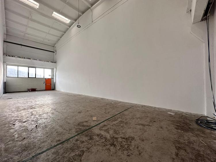 Hala productie - depozitare, 110mp, aproape de Carrefour Felicia - 11