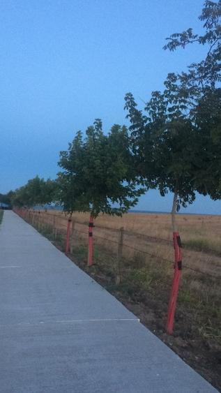 TEREN IN CONSTINESTI, PRIMUL RAND LA MARE, PRET CERTIFICAT CU RAPORT DE EVALUARE - 9