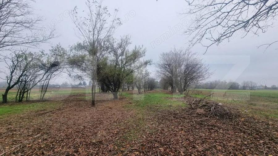 OPORTUNITATE TEREN 0,9 Ha intravilan constructii+extravilan - 13