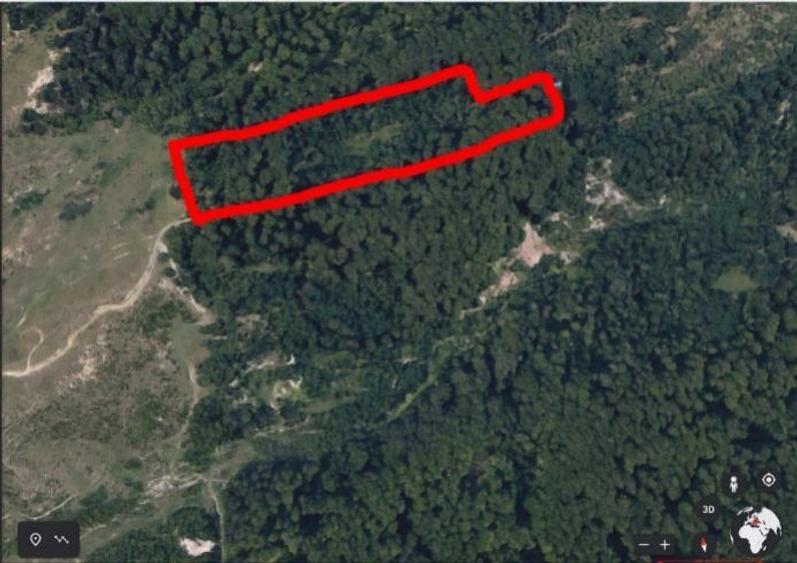 Teren 5000 mp la 3 km de barajul Paltinu, Sotrile,Prahova - 5